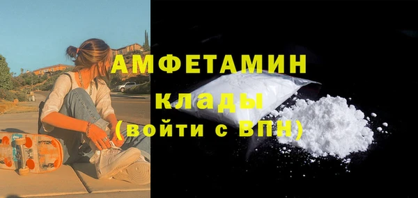 Альфа ПВП Верея