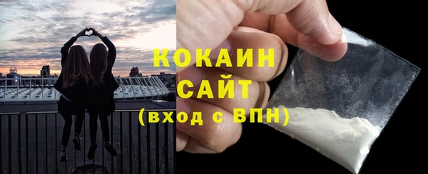 Альфа ПВП Верея