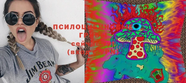ПСИЛОЦИБИНОВЫЕ ГРИБЫ Верхнеуральск
