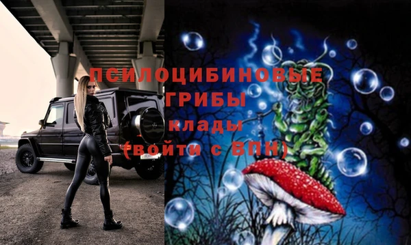 ПСИЛОЦИБИНОВЫЕ ГРИБЫ Верхнеуральск