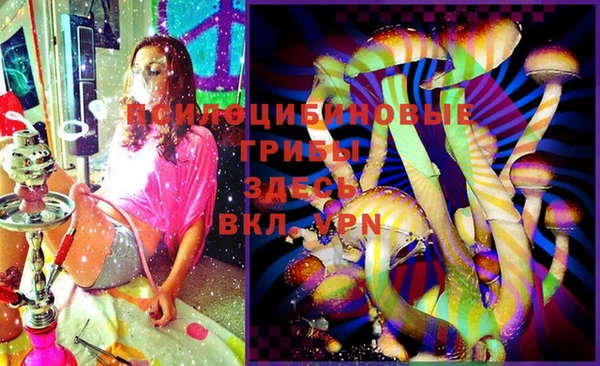 ПСИЛОЦИБИНОВЫЕ ГРИБЫ Верхнеуральск