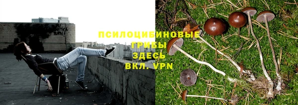 марки lsd Верхний Тагил