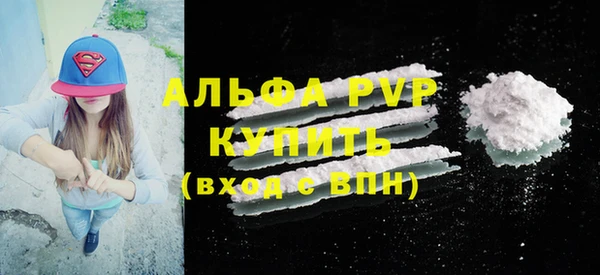 Альфа ПВП Верея