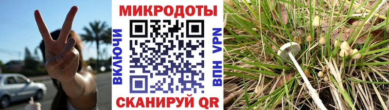 Галлюциногенные грибы Psilocybe  Ярославль 